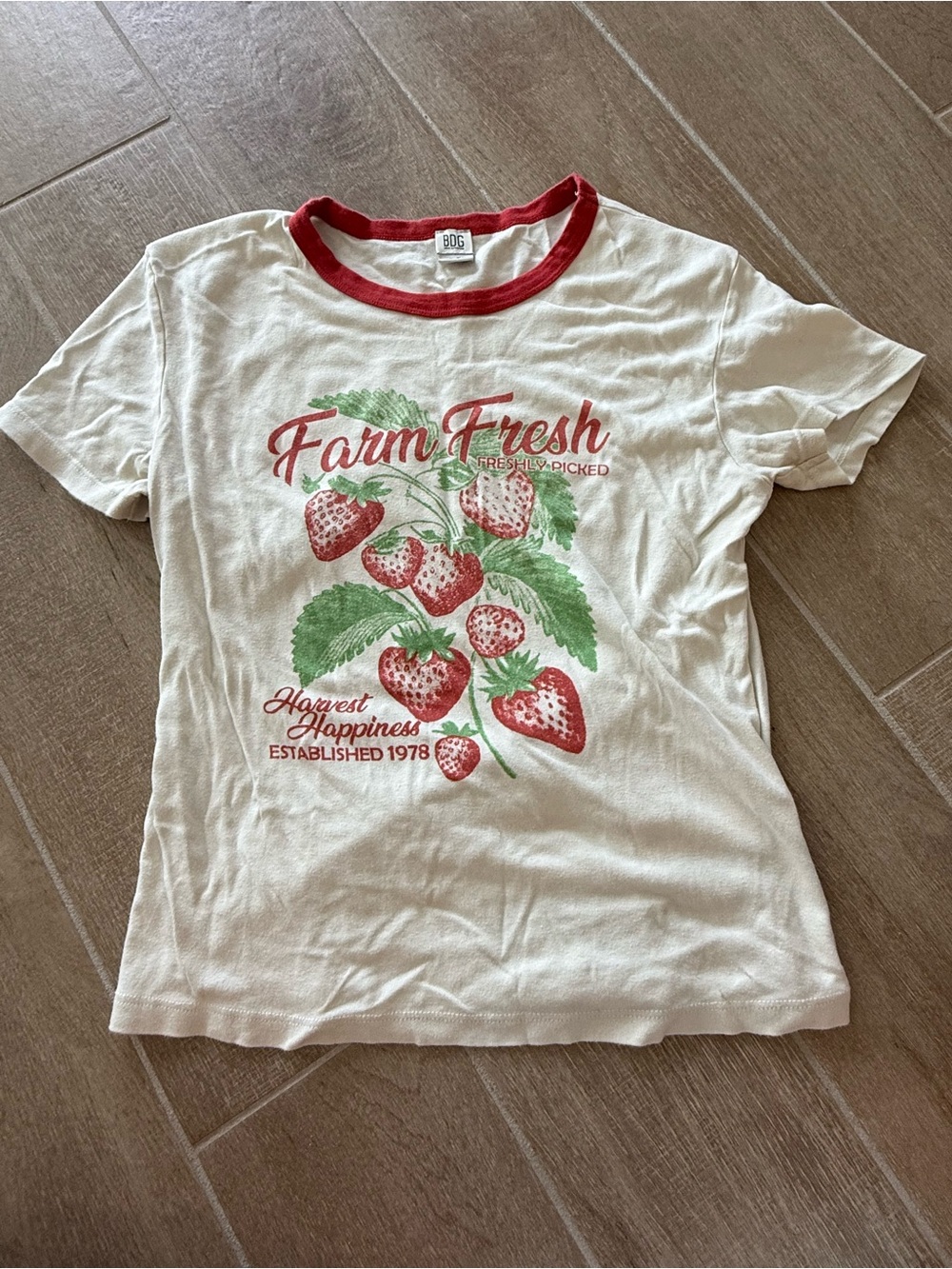 BDG Cream Graphic Tee with Red and Green Strawberry Print